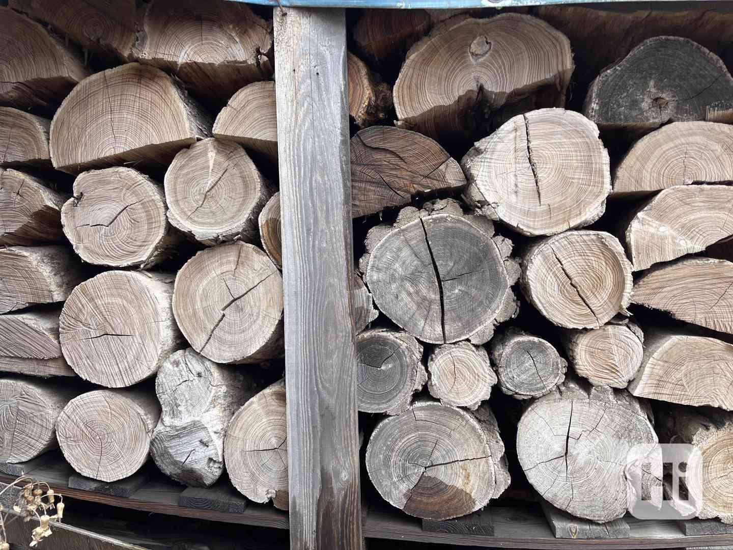 Palivové dřevo suché - foto 1