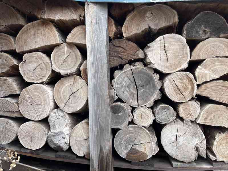 Palivové dřevo suché - foto 1