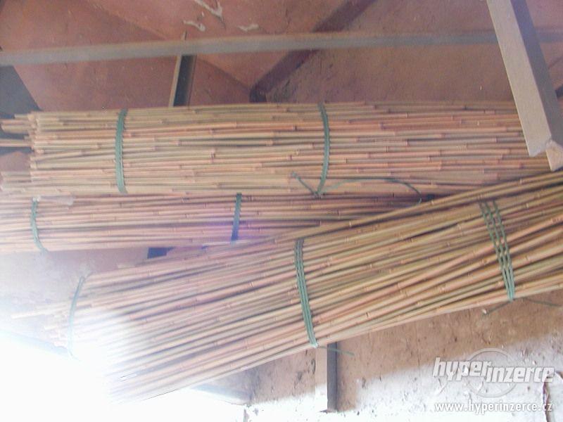 Bambusová tyčka ke květinám - foto 1