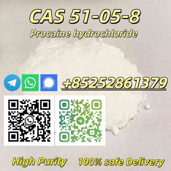 High Quality CAS 51-05-8 Hydrochloride HCl - foto 2