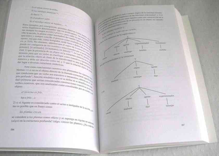 Estructuras sintácticas transitivas e intransit. en espaňol. - foto 10