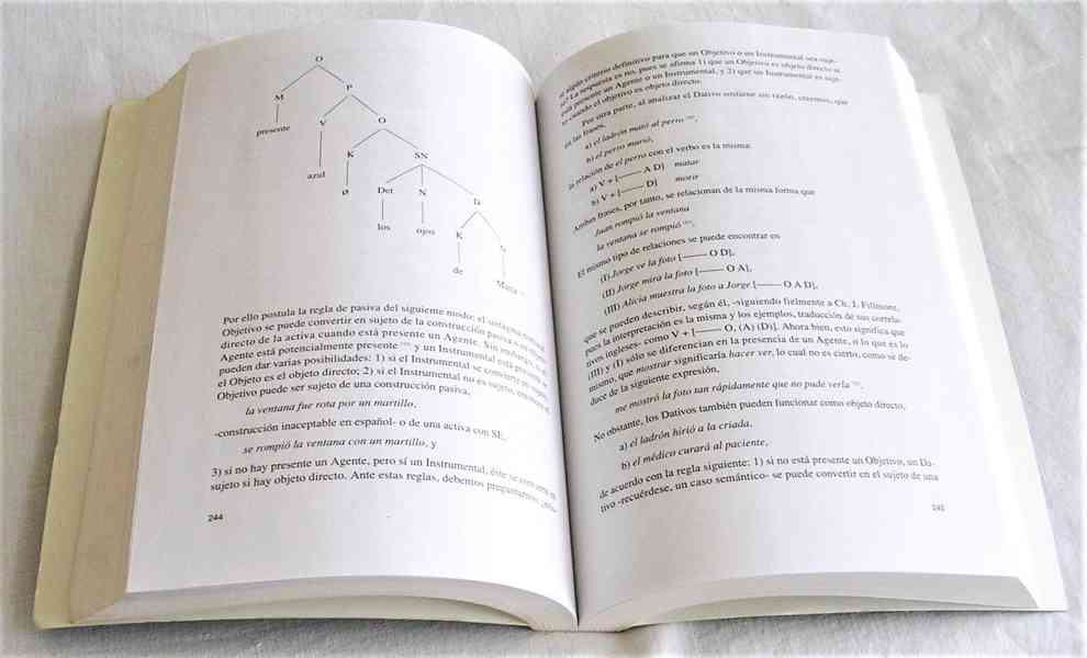 Estructuras sintácticas transitivas e intransit. en espaňol. - foto 7