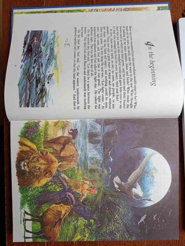 The Illistrated Bible for Children - foto 6
