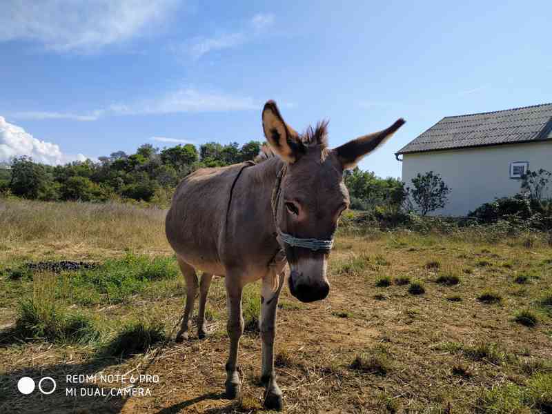 Jarní prázdniny u moře - foto 3