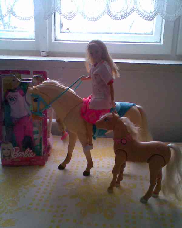 Barbie veterina VELKÁ SLEVA - foto 18