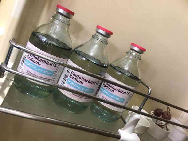koupit nembutal pentobarbital online Whatsapp:+31647643738 - foto 2