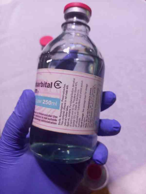 koupit nembutal pentobarbital online Whatsapp:+31647643738 - foto 1
