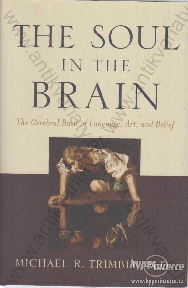 The Soul in the Brain Machael R. Trimble 2007 - foto 1