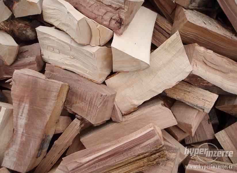 Palivové dřevo štípaný buk Frýdek Místek, šenov - foto 1