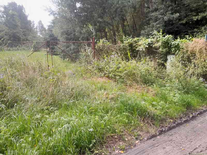 Prodej pozemků k.ú Česká Lípa 5589 m2. - foto 2