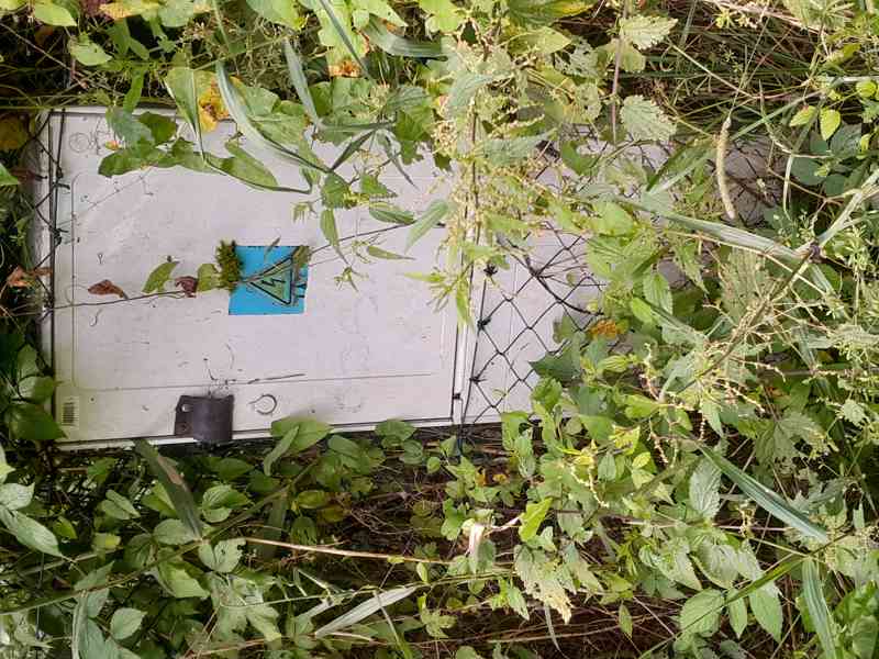 Prodej pozemků k.ú Česká Lípa 5589 m2. - foto 3