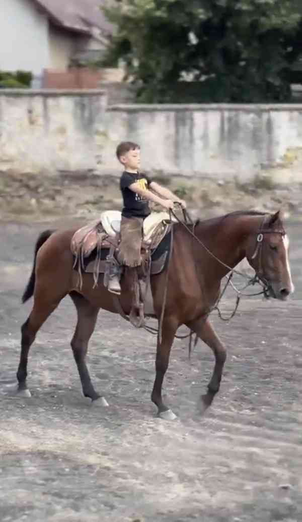 Prodám Kobylu - foto 4