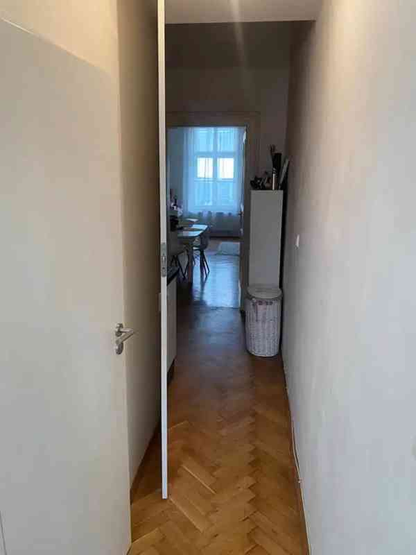 Pronájem bytu 1+1 46 m² - foto 4