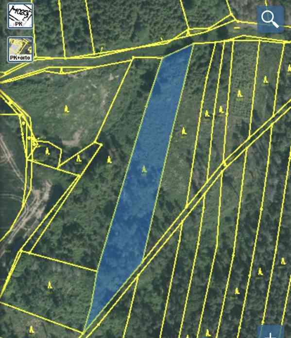 Lesní pozemek Lštění nad Zubřinou - foto 11