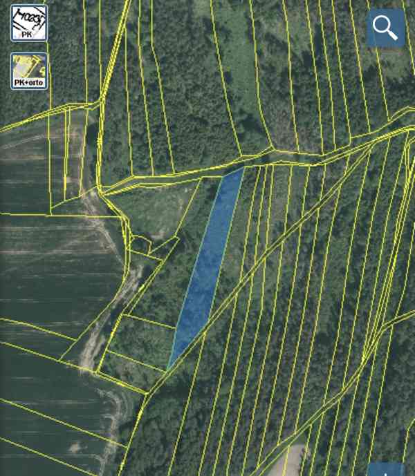 Lesní pozemek Lštění nad Zubřinou - foto 12