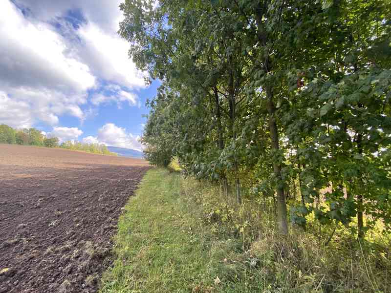 Lesní pozemek a pozemek ostatní plochy Horní Lánov - foto 10
