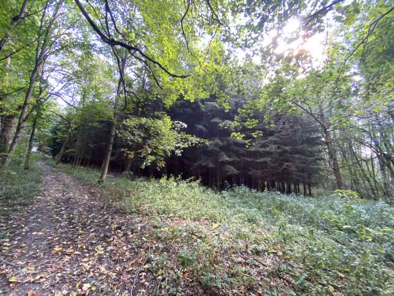 Lesní pozemek a pozemek ostatní plochy Horní Lánov