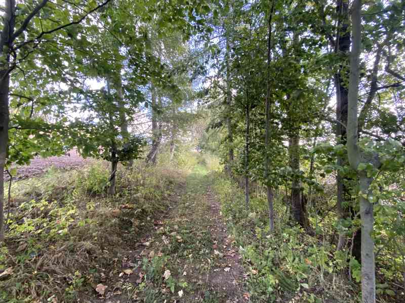 Lesní pozemek a pozemek ostatní plochy Horní Lánov - foto 9