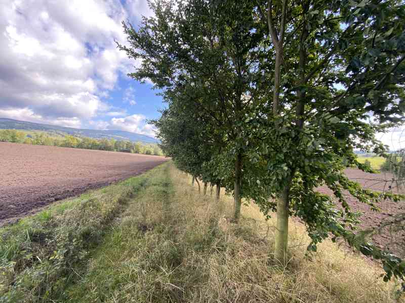 Lesní pozemek a pozemek ostatní plochy Horní Lánov - foto 11