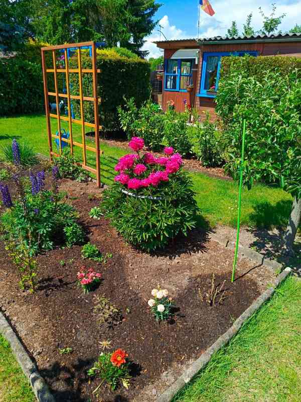 Zahrada s vlastní chatou v krásné lokalitě za odstupné - foto 12