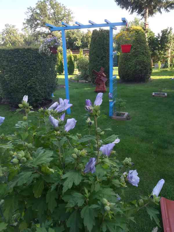 Zahrada s vlastní chatou v krásné lokalitě za odstupné - foto 3