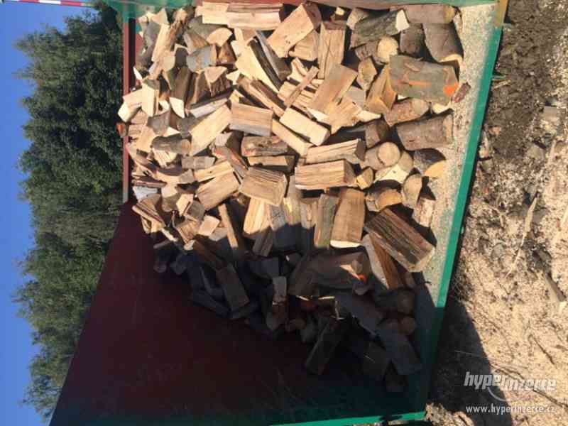 Palivové dřevo - foto 8