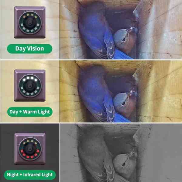 Bezdrátová kamera Bird Box - foto 5