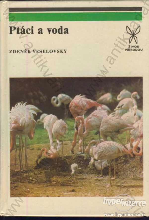 Ptáci a voda Zdeněk Veselovský Academia Praha 1987 - foto 1
