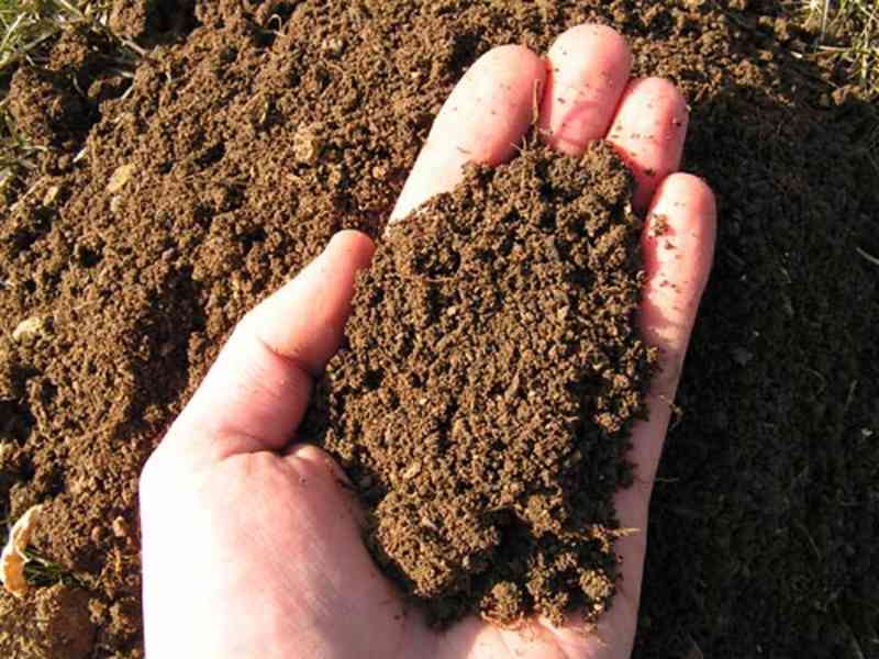 Zemina ZDARMA - foto 2