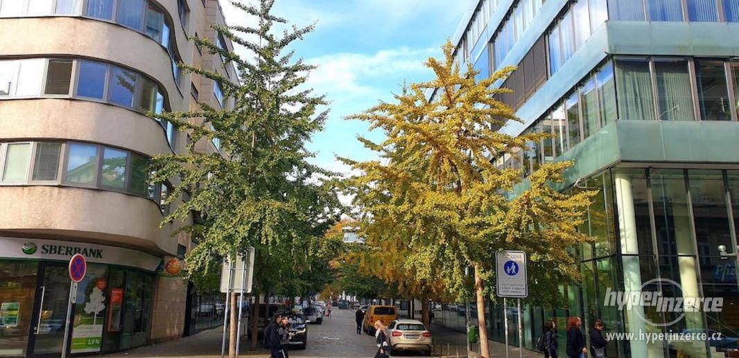 Pronájem bytu 2+kk bez realitky. Rezidence Andel City. - foto 1