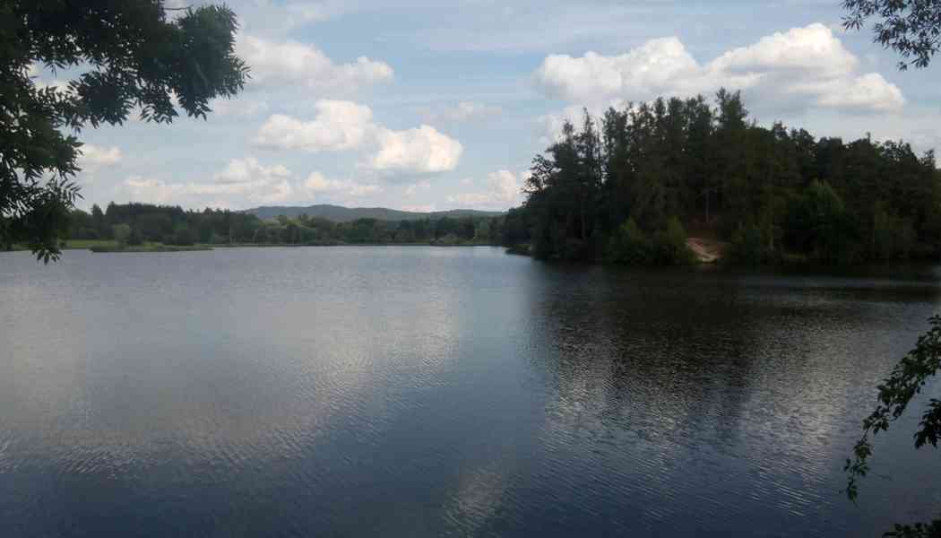 Pronájem částí zahrady – ulice V Plaňkách Rokycany - foto 6