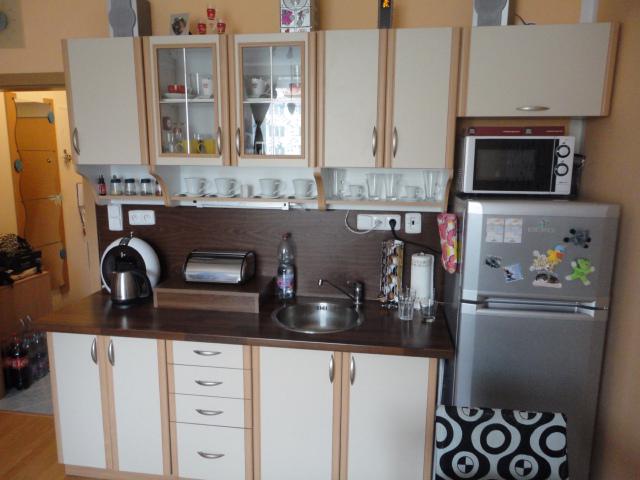 Pronájem 1+kk, ulice K Babě, Medlánky, 30 m2, novostavba - foto 3