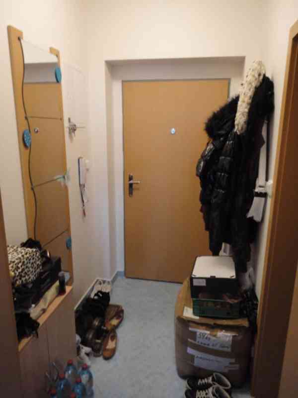 Pronájem 1+kk, ulice K Babě, Medlánky, 30 m2, novostavba - foto 6