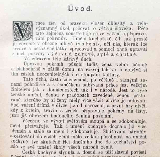 Rakousko Uhersko - kuchařská kniha z roku 1900  - foto 11