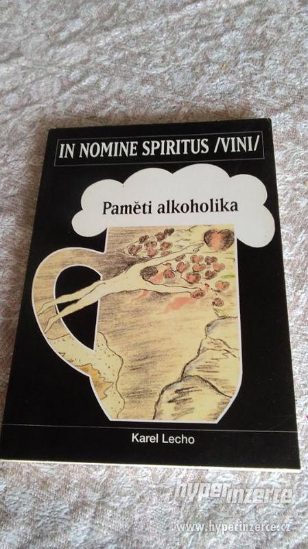 Paměti alkoholika In nomine spiritus /vini/ - foto 1