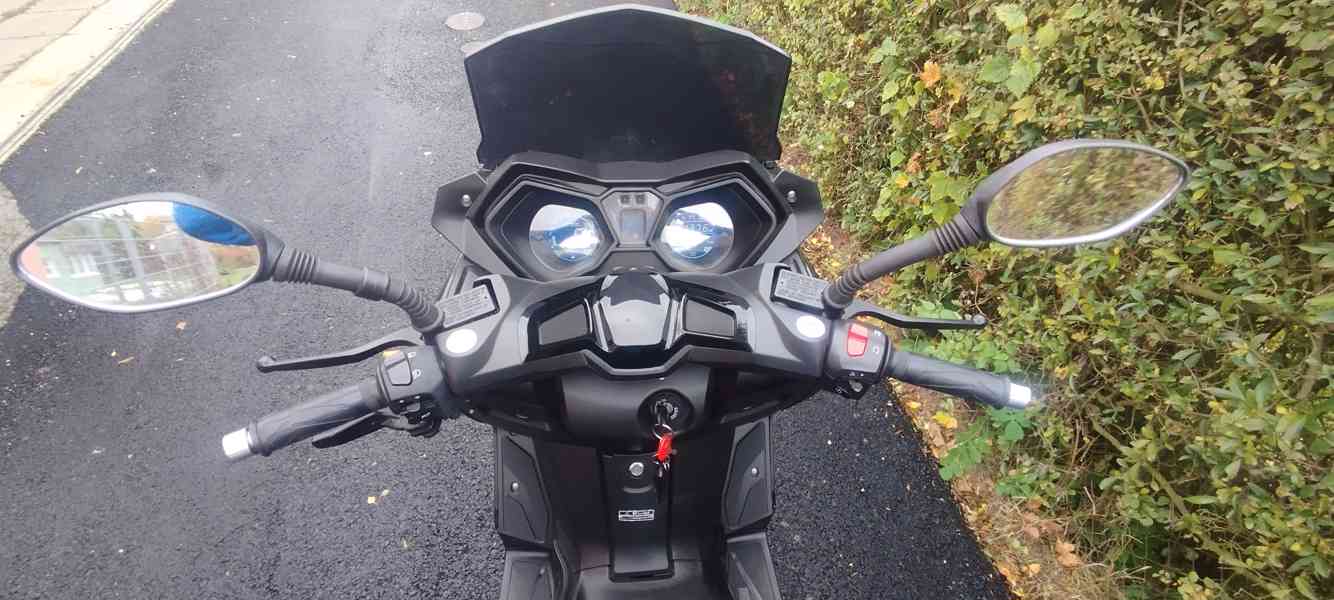 Kentoya Maximus - foto 11