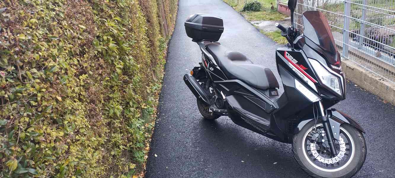 Kentoya Maximus - foto 8