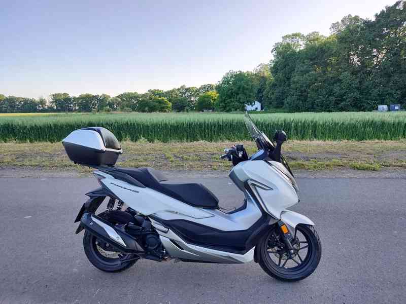 Honda Forza 300, původ ČR, perfektní stav - foto 8