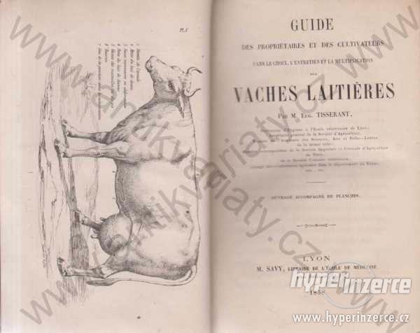 Vaches Laitieres/Le Poulailler 1858-63 Lyon/Paris - foto 1