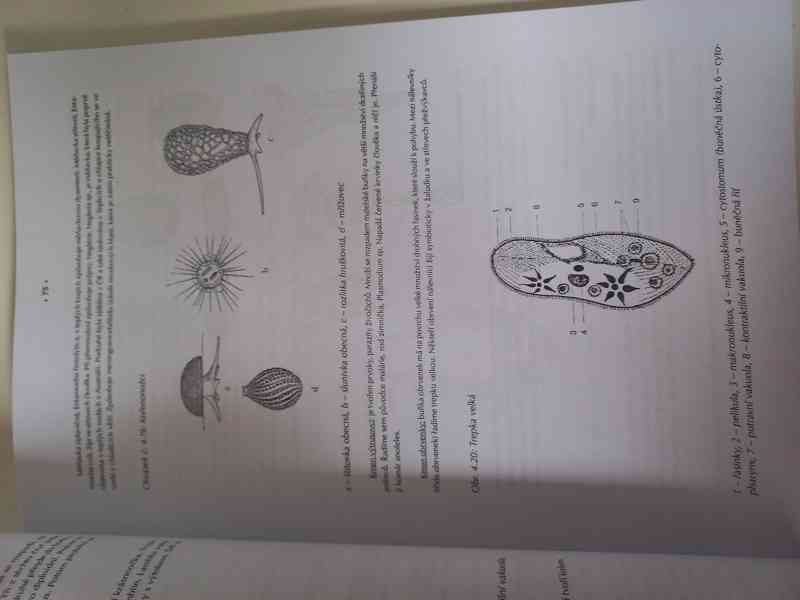 Učebnice pro zdravotnické a lékařské obory - foto 8