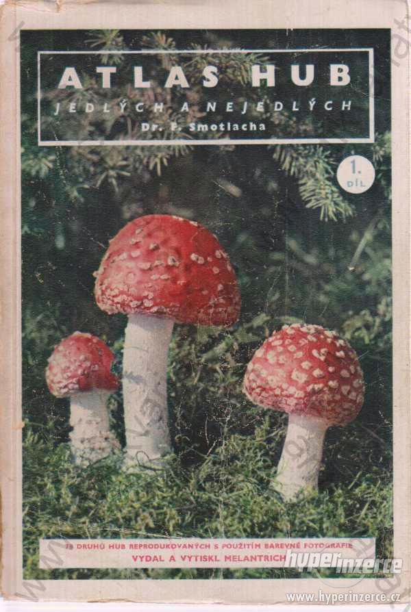 Atlas hub jedlých a nejedlých 1.díl Smotlacha 1947 - foto 1