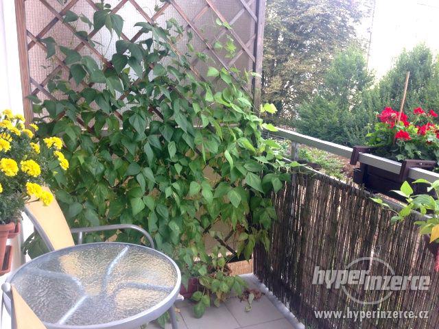 Prodej bytu 3+kk, 79,5m2 v OV, cihla, poblíž Bulovky Praha 8 - foto 13