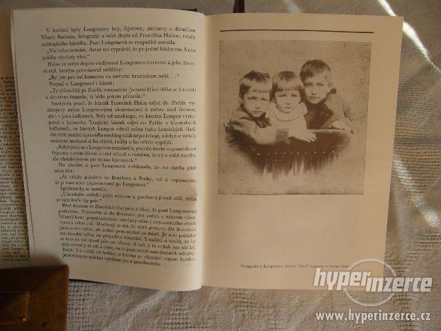Toulavý kůň - foto 5