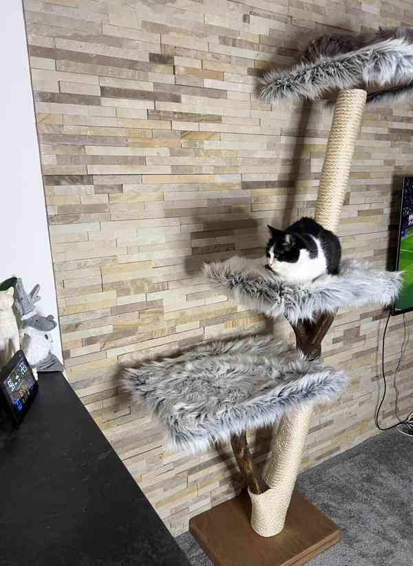 Dřevěné škrabadlo pro kočky - foto 3