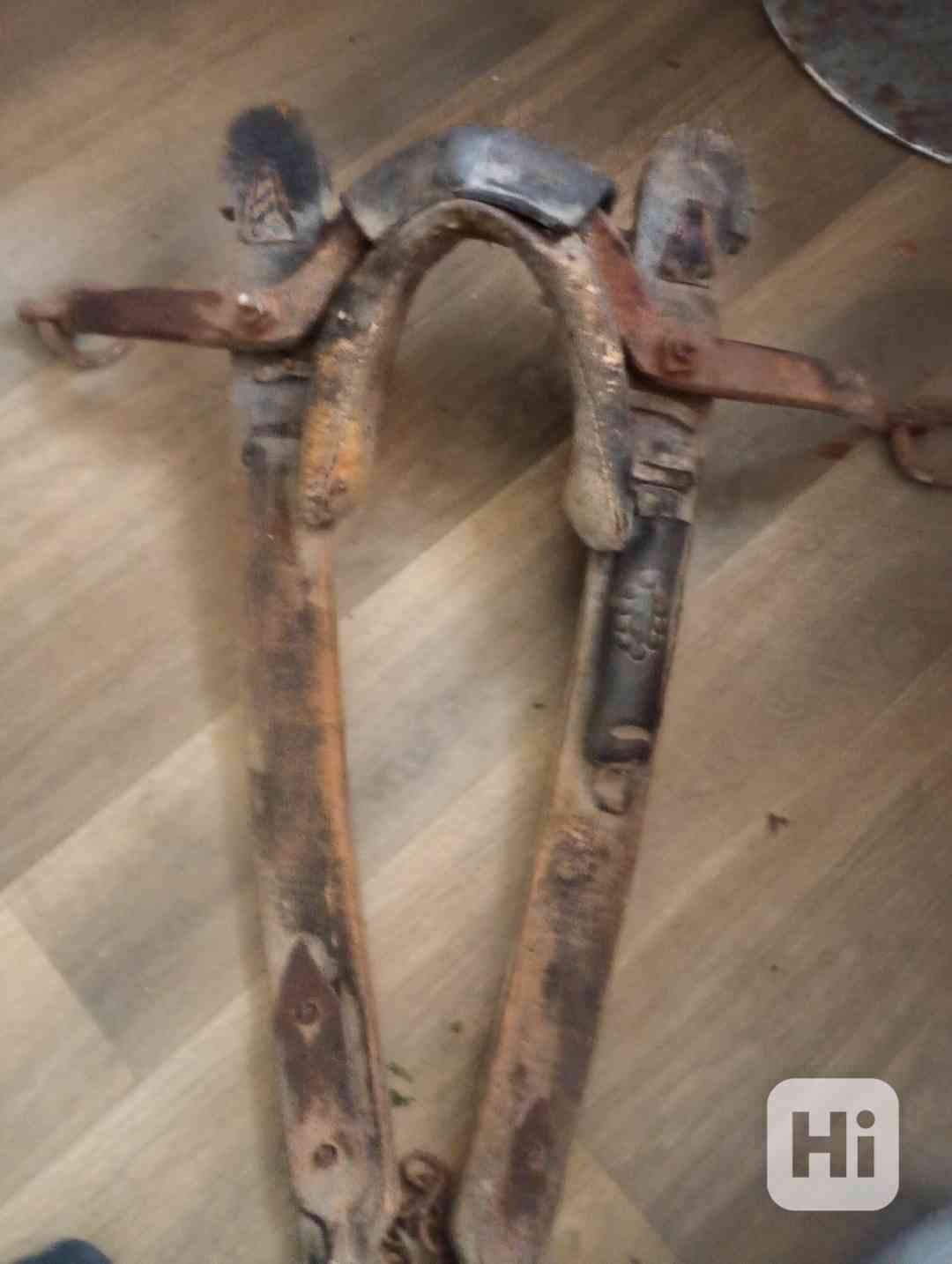 Koně  - foto 1