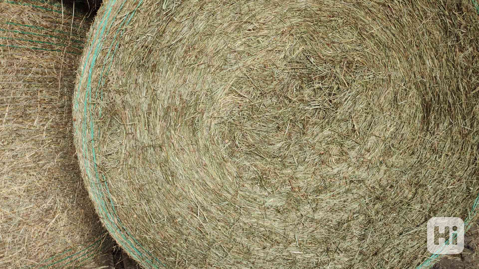 BIO SENO NEJVYŠŠÍ KVALITY CERTIFIKOVANÉ SKLADOVANÉ S DOPRAVO - foto 1