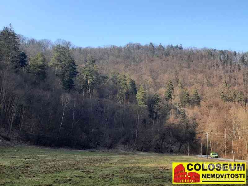 Dolní Loučky - lesní pozemek 241.829 m2 - pozemek - foto 1