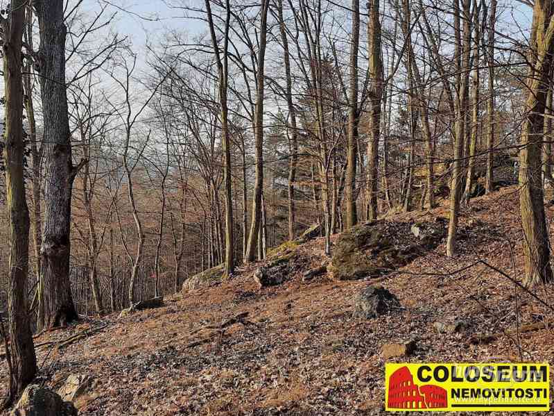 Dolní Loučky - lesní pozemek 241.829 m2 - pozemek - foto 4