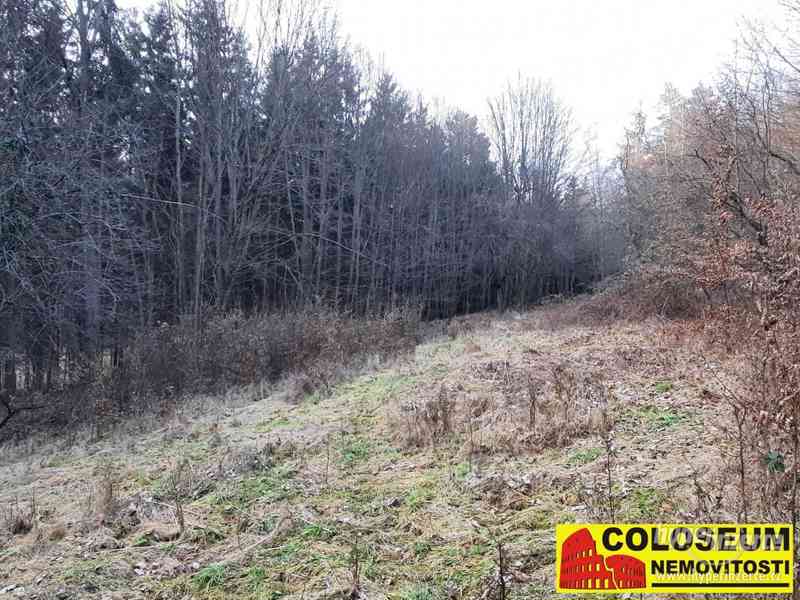 Dolní Loučky - lesní pozemek 241.829 m2 - pozemek - foto 9