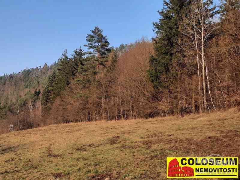 Dolní Loučky - lesní pozemek 241.829 m2 - pozemek - foto 12